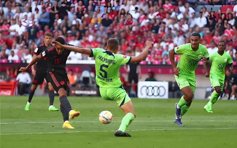 柏林队迎来胜利,球迷热情接受狂欢 柏林队迎来胜利,球迷热情接受狂欢