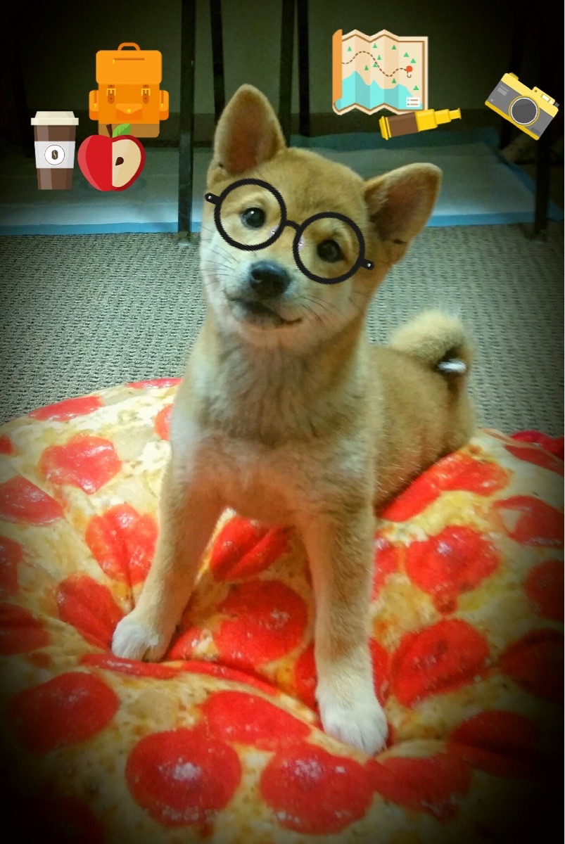 加纳加时绝境逢生，德布劳内一传一射导演逆转拜仁奇迹