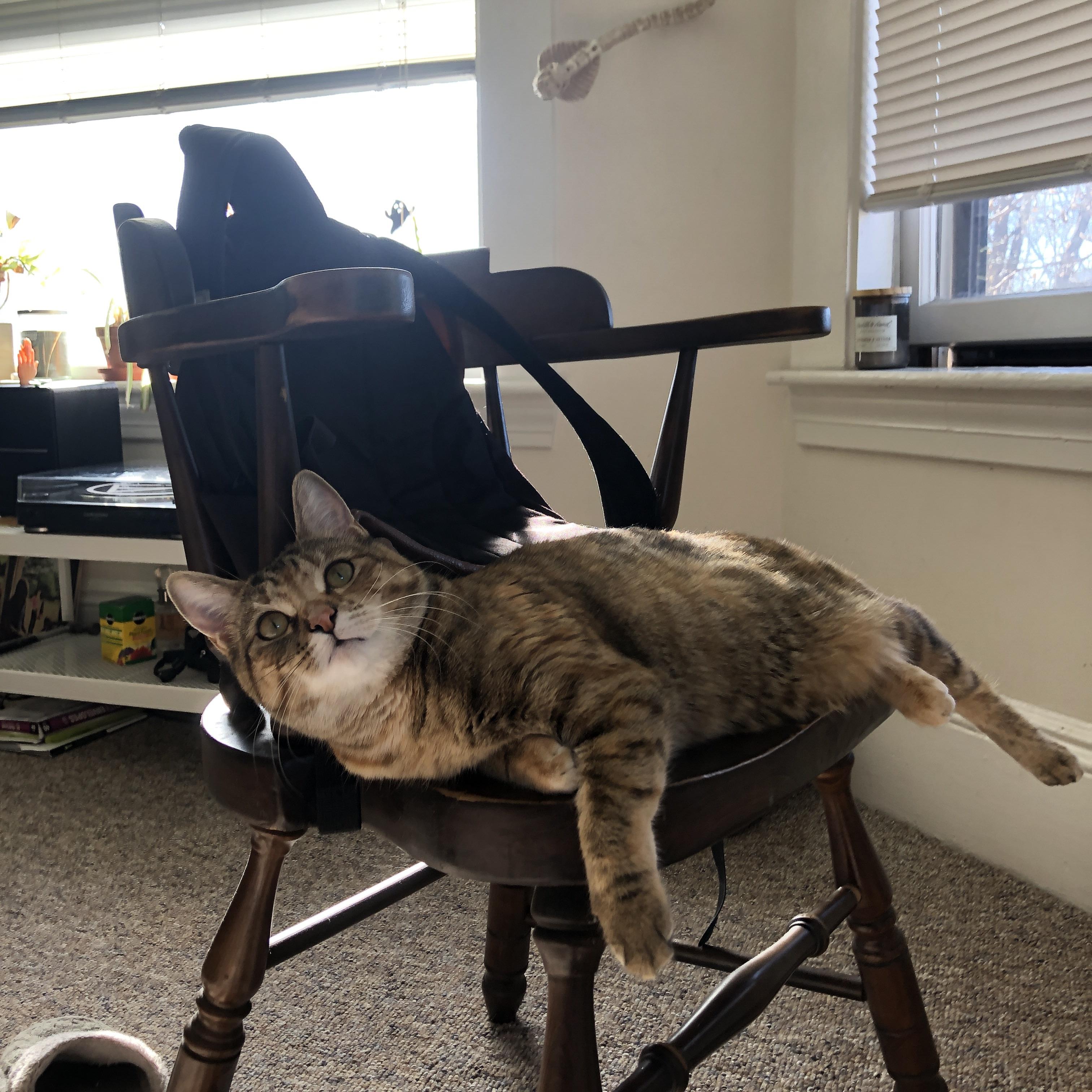 本泽马赛后评分拉满，哥斯达黎加斩落瑞典—足球世界的多元魅力与唯一性